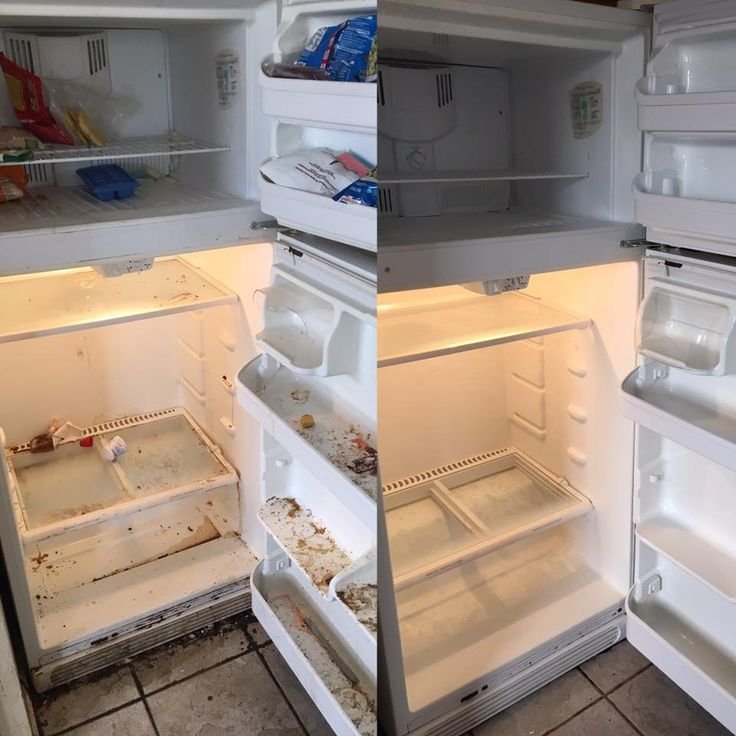 Fridge before and after cleaning